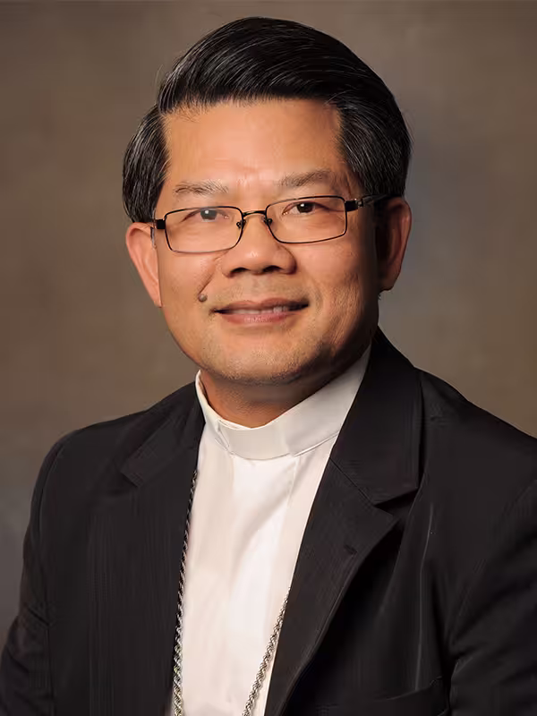 Vinh Sơn Nguyễn Văn Long